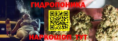 a pvp Кандалакша