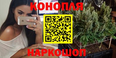 a pvp Кандалакша