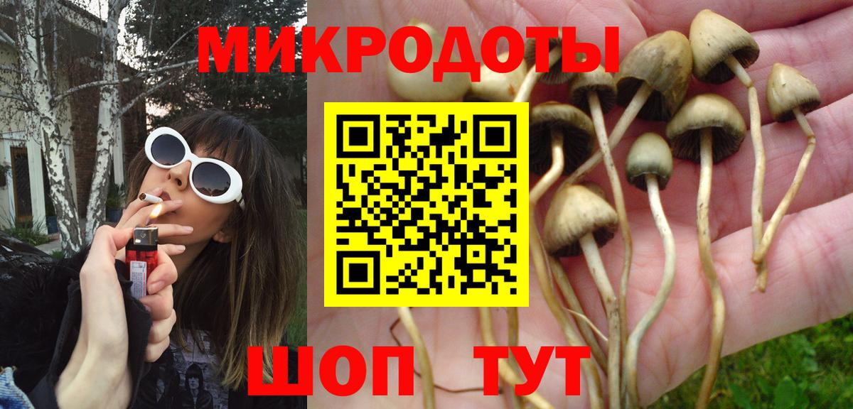 Марихуана Махачкала